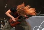 WEB_Guitar_5_146_100.jpg